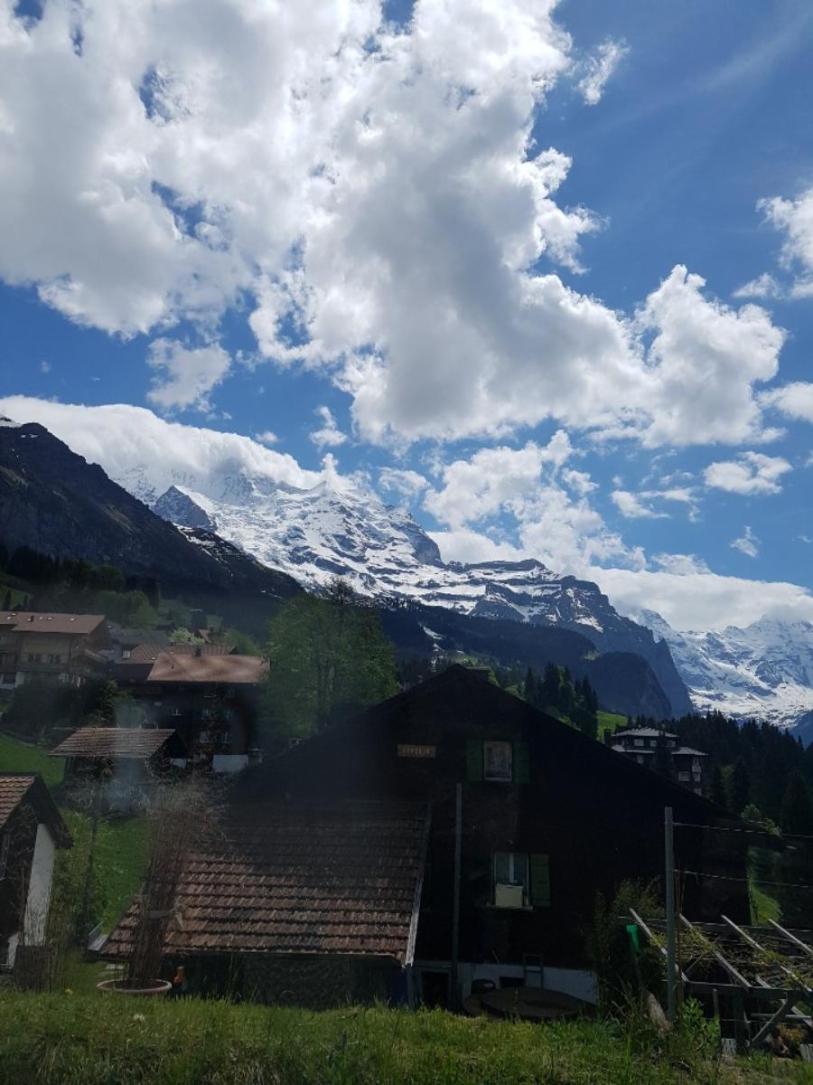 융프라우(Jungfrau)산으로 올라가는 기차밖 풍경들
