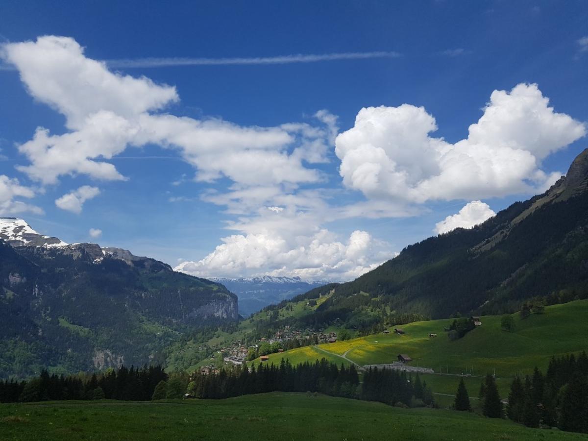 융프라우(Jungfrau)산으로 올라가는 기차밖 풍경들