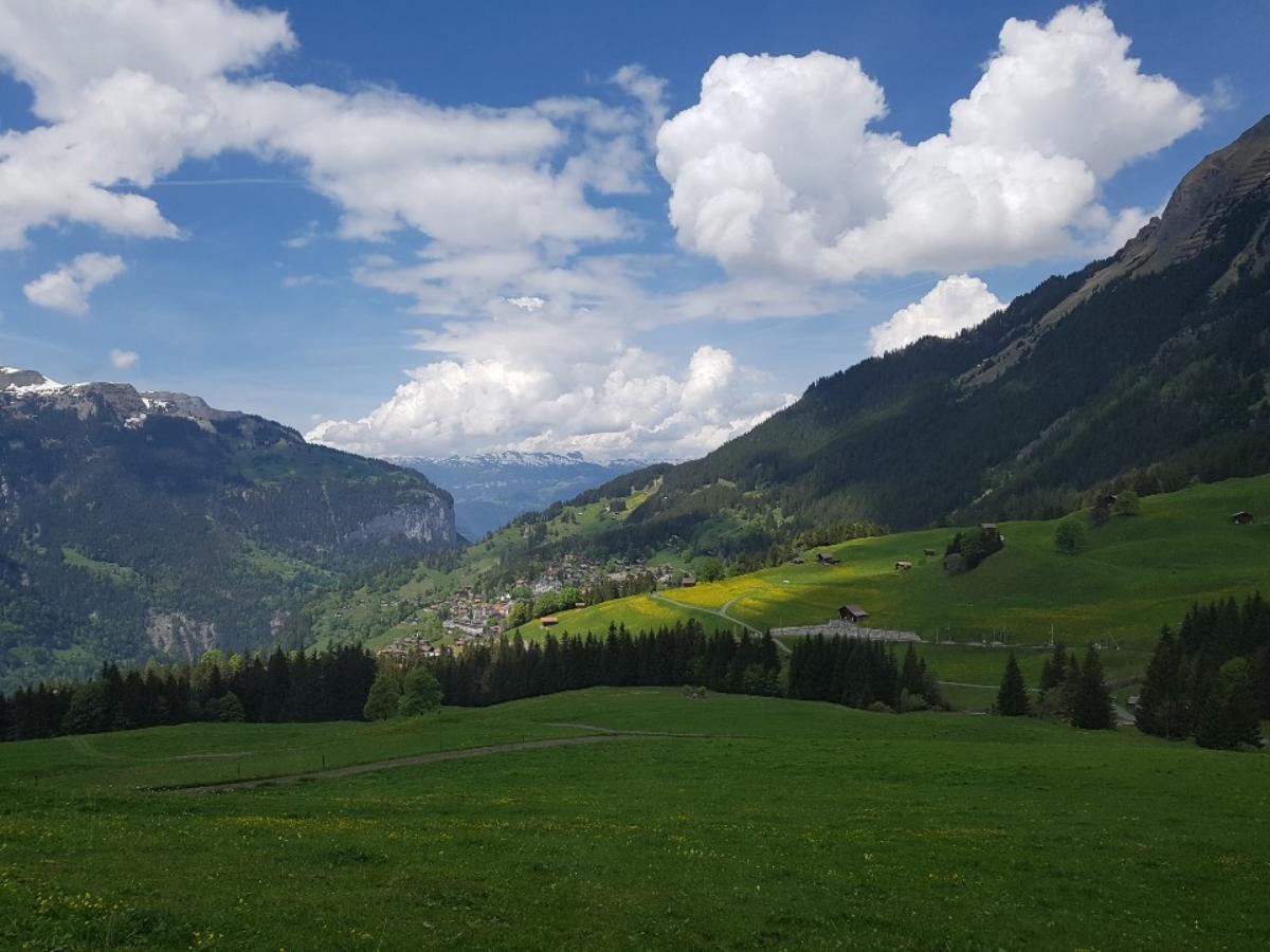 융프라우(Jungfrau)산으로 올라가는 기차밖 풍경들