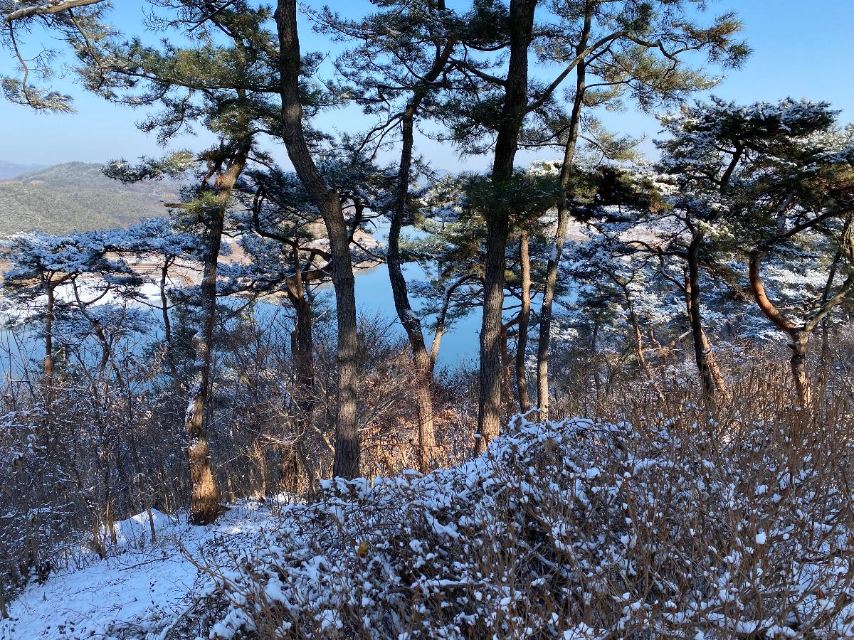 부소산성(扶餘 扶蘇山城) 의 겨울풍경 2