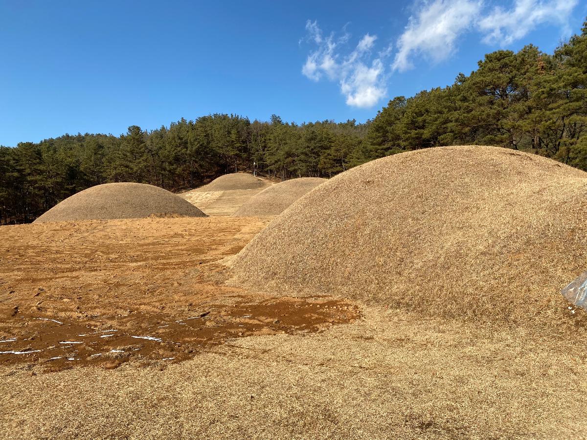 능산리 고분군 (扶餘 陵山里 古墳群)  3 : 현재 사적으로 지정된 고분군은 중앙의 왕릉군 7기이다