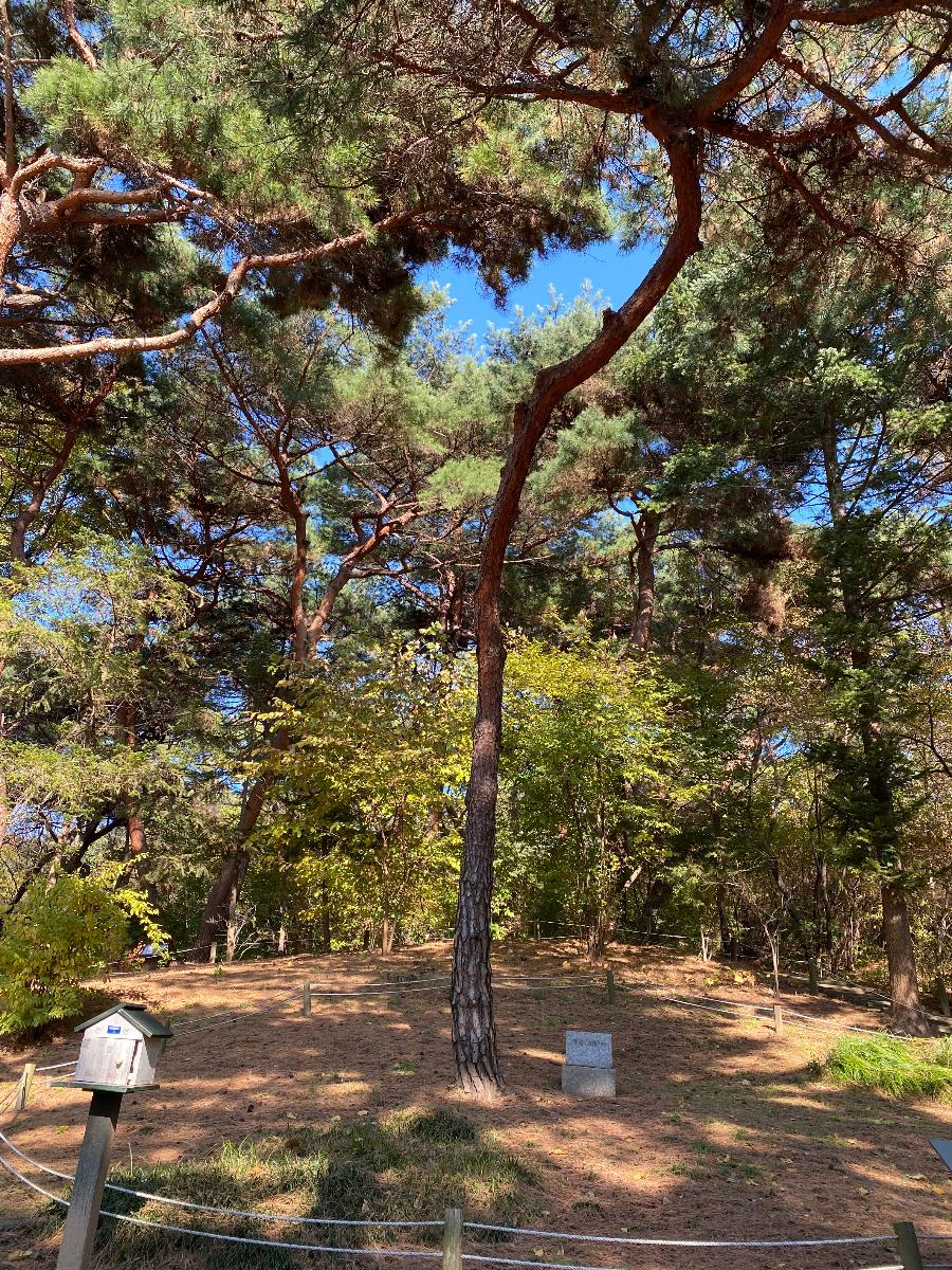 홍릉터(洪陵地)는 조선 제26대 고종 황제의 왕비 명성황후가 묻혔던 곳이다. 1895년 을미사변으로 명성황후가 시해된 후 이곳에 22년간 안장되었다가 1919년 고종 승하후 경기도 남양주 금곡동에 위치한 현재의 홍릉으로 합장되었다