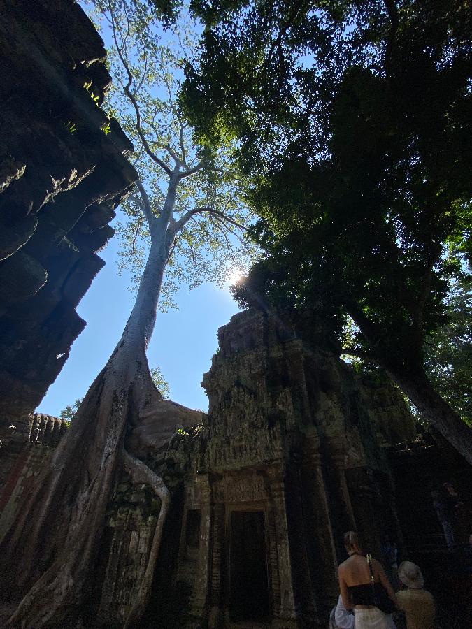 타프롬 사원