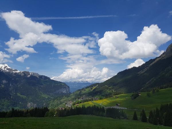 융프라우(Jungfrau)산으로 올라가는 기차밖 풍경들