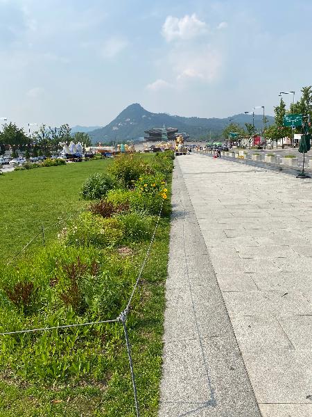 광화문 광장과 주변 전경 - 광화문과 인왕산이 보입니다.