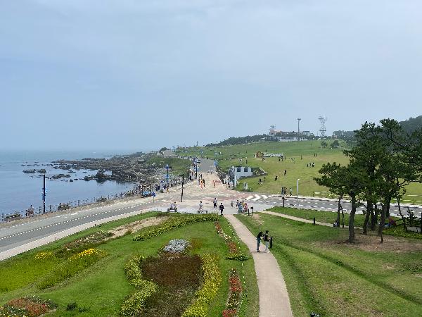 풍차에 내려다 본 잔디광장과 간절곶 - 동화책에 나오는 동산이어라