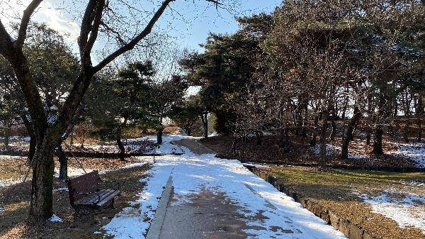 부소산성(扶餘 扶蘇山城) 의 겨울풍경 1