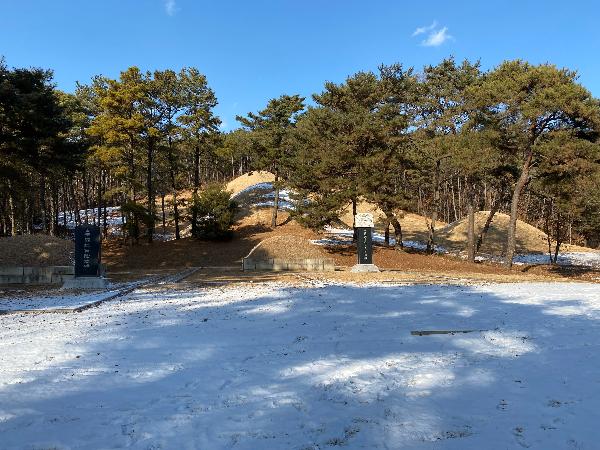 의자왕단(義慈王壇) : 의자왕 20년(660년)에 백제가 나당 연합군의 침략을 받아 멸망하자, 의자왕은 당나라에 압송되어 병사하였다. 중국 낙양시의 북망산 일대에서 의자왕의 무덤을 찾기 위해 많은 노력을 하였으나 결국 찾지 못하고 2000년에 능산리고분군에 의자왕과 그의 아들 부여융(扶餘隆)의 가묘(假墓)및 제단과 부여융묘지석을 설치하였다