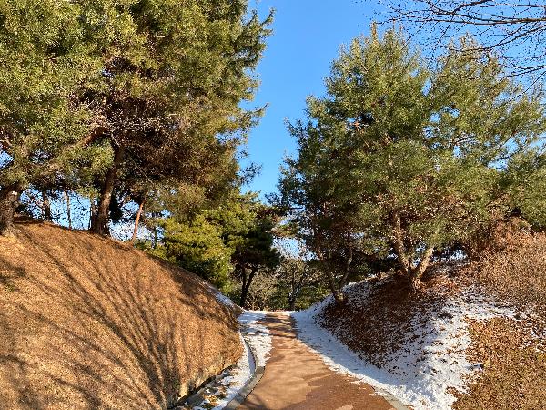  능산리 고분군 (扶餘 陵山里 古墳群) 겨울풍경 1
