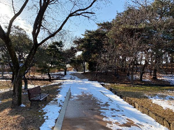  능산리 고분군 (扶餘 陵山里 古墳群) 겨울풍경 2