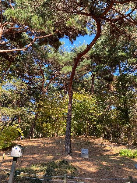 홍릉터(洪陵地)는 조선 제26대 고종 황제의 왕비 명성황후가 묻혔던 곳이다. 1895년 을미사변으로 명성황후가 시해된 후 이곳에 22년간 안장되었다가 1919년 고종 승하후 경기도 남양주 금곡동에 위치한 현재의 홍릉으로 합장되었다